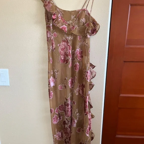 ⚜️🌹🍂🤎Free People dress boho sheer maxi - Picture 4 of 7